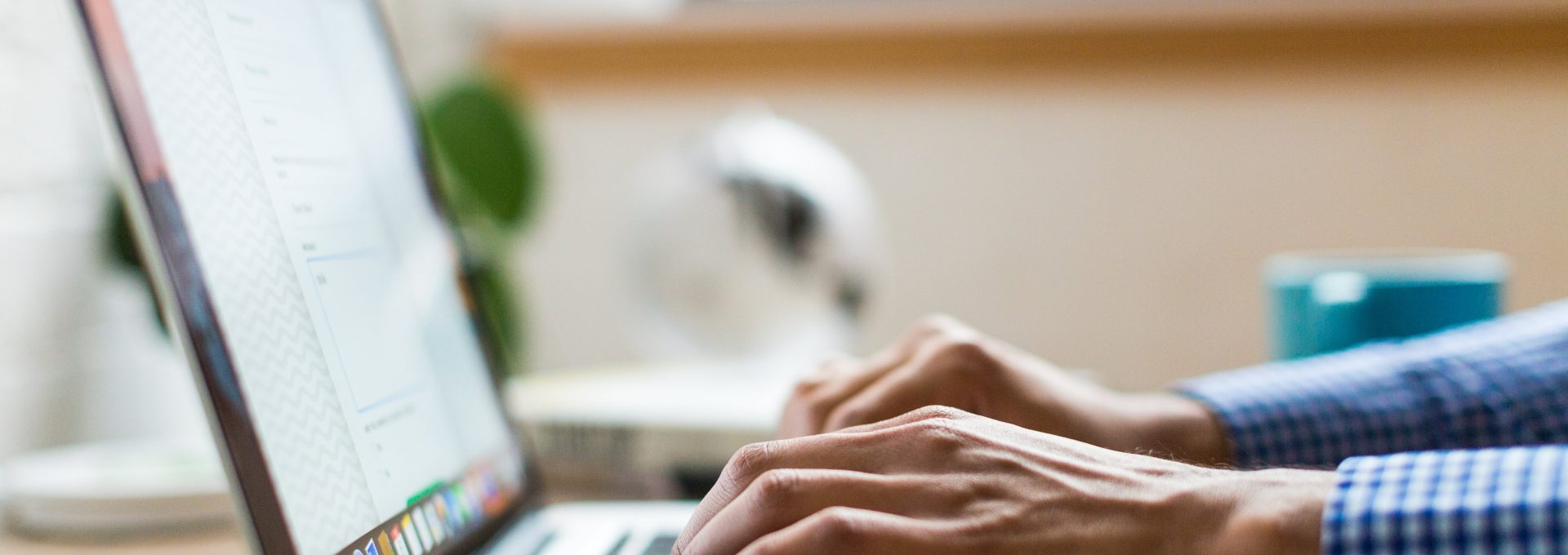 person typing on laptop